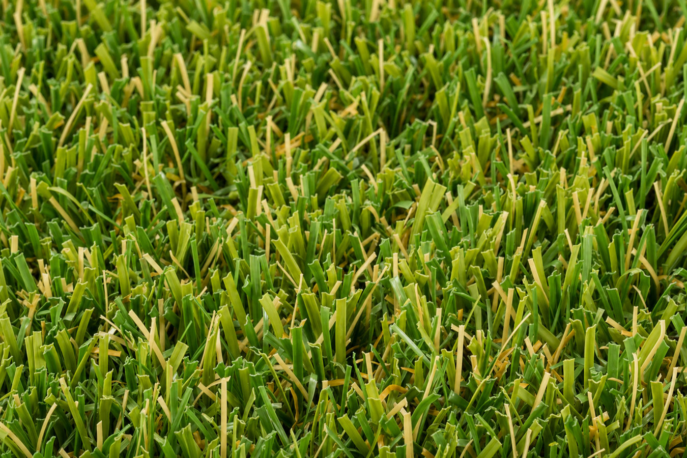 Synthetic lawn turf